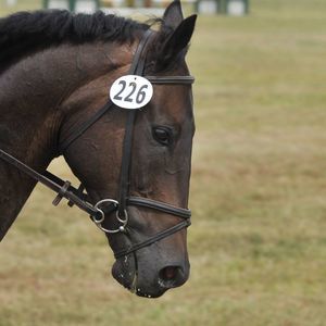 Meet your Posher, Lora